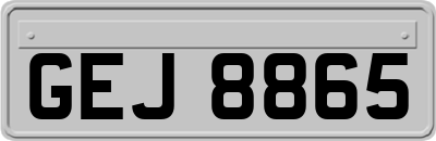 GEJ8865