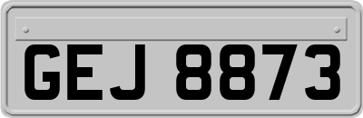 GEJ8873