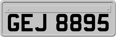 GEJ8895
