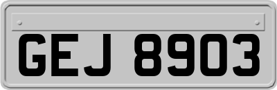 GEJ8903