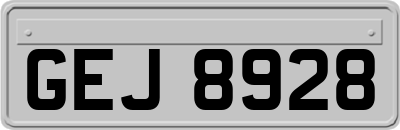 GEJ8928