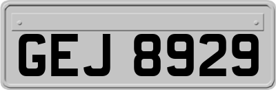 GEJ8929