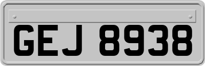GEJ8938