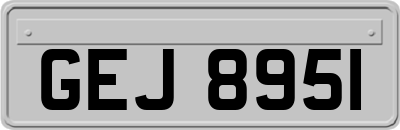 GEJ8951