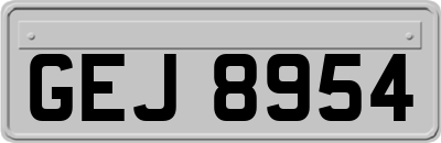 GEJ8954