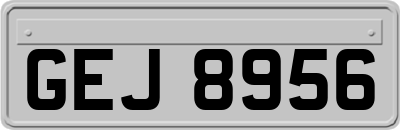 GEJ8956