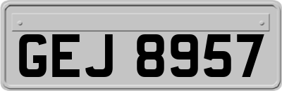 GEJ8957