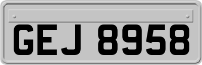 GEJ8958