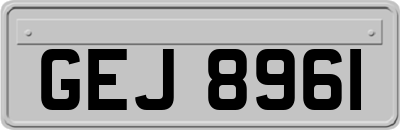 GEJ8961