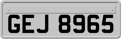GEJ8965
