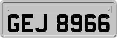 GEJ8966