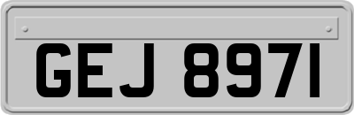 GEJ8971