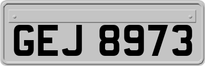 GEJ8973