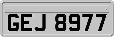 GEJ8977