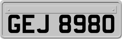 GEJ8980