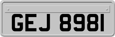 GEJ8981