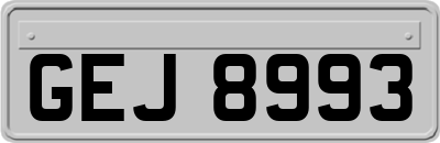 GEJ8993