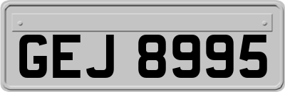 GEJ8995