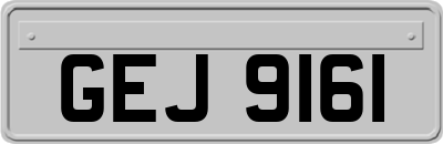 GEJ9161
