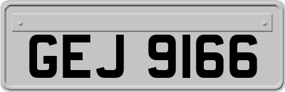 GEJ9166