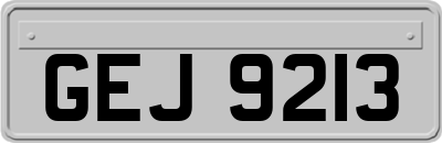 GEJ9213