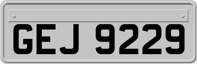 GEJ9229