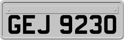 GEJ9230
