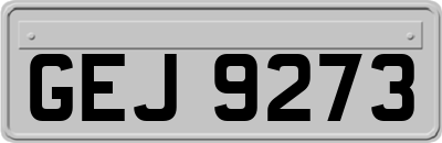 GEJ9273