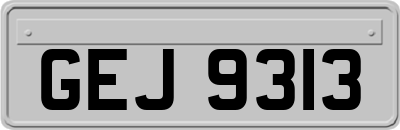 GEJ9313