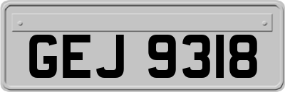 GEJ9318