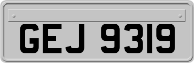 GEJ9319