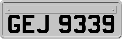 GEJ9339