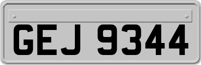 GEJ9344