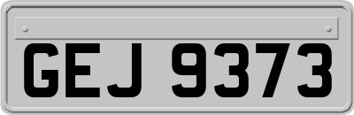 GEJ9373