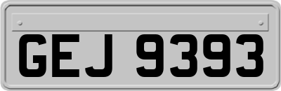GEJ9393