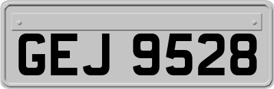 GEJ9528