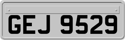 GEJ9529