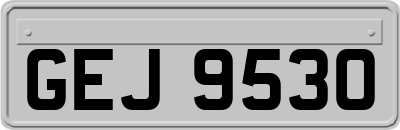 GEJ9530