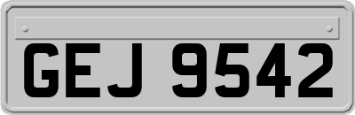 GEJ9542
