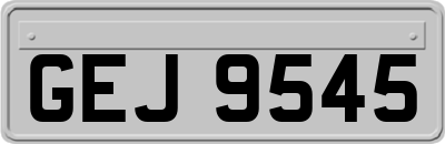 GEJ9545