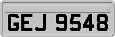 GEJ9548