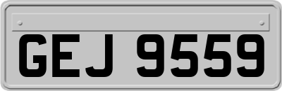 GEJ9559