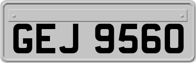 GEJ9560