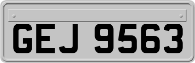 GEJ9563