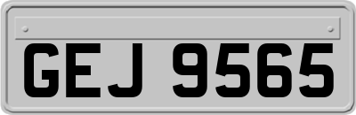 GEJ9565
