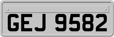 GEJ9582