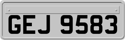 GEJ9583