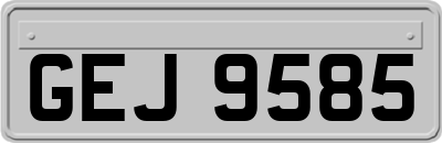 GEJ9585