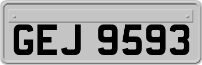 GEJ9593