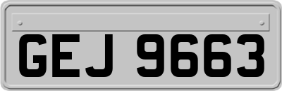 GEJ9663